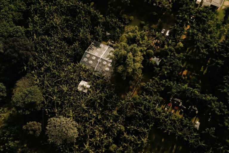 Medina Guimarães - 20 Anos em Perspectiva