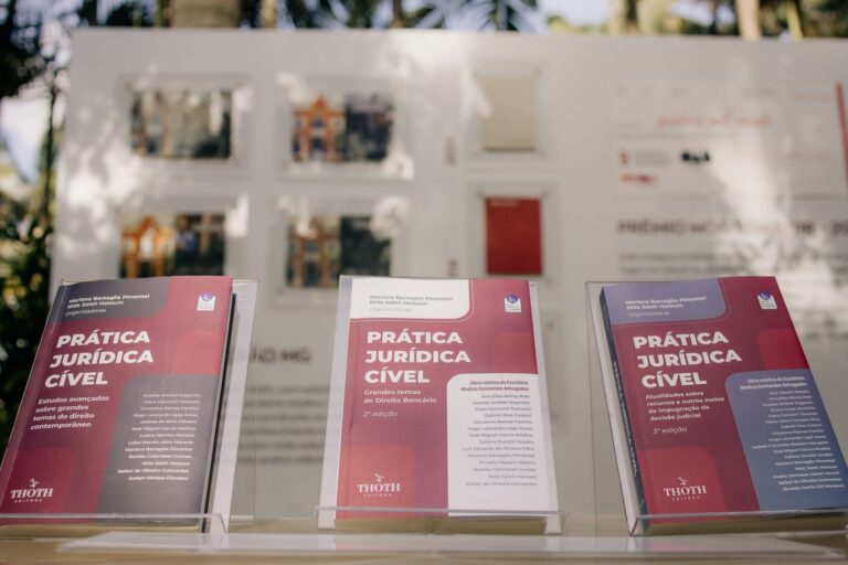 Medina Guimarães - 20 Anos em Perspectiva