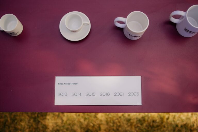 Medina Guimarães - 20 Anos em Perspectiva