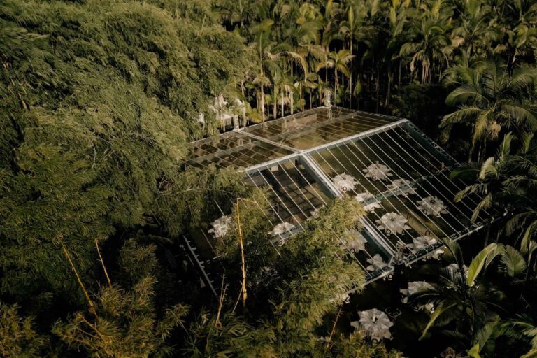 Medina Guimarães - 20 Anos em Perspectiva