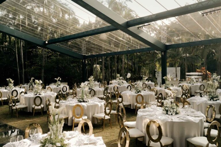 Medina Guimarães - 20 Anos em Perspectiva