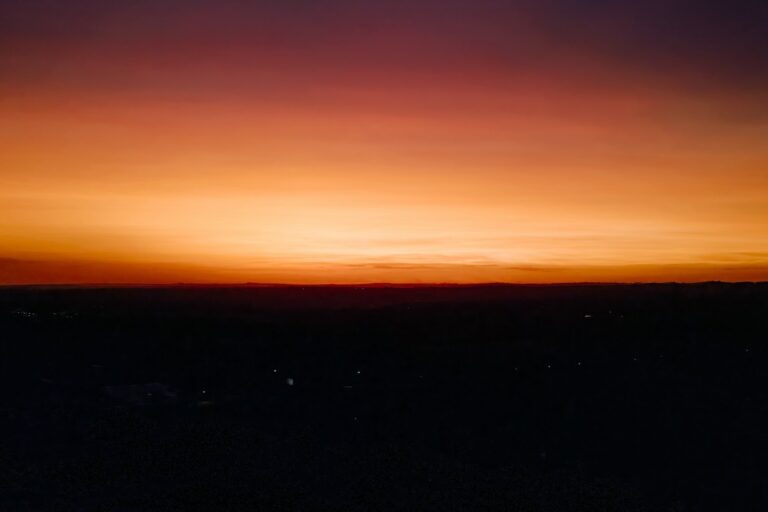 Glue: Medina Guimarães