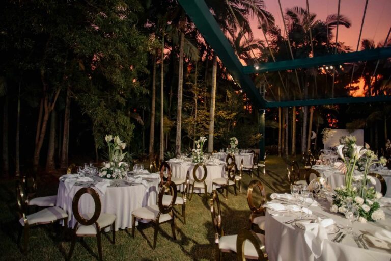 Glue: Medina Guimarães