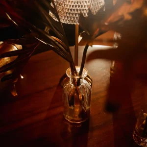 Glue: Beautyland - O Joaquim Professional