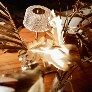 Glue: Beautyland - O Joaquim Professional